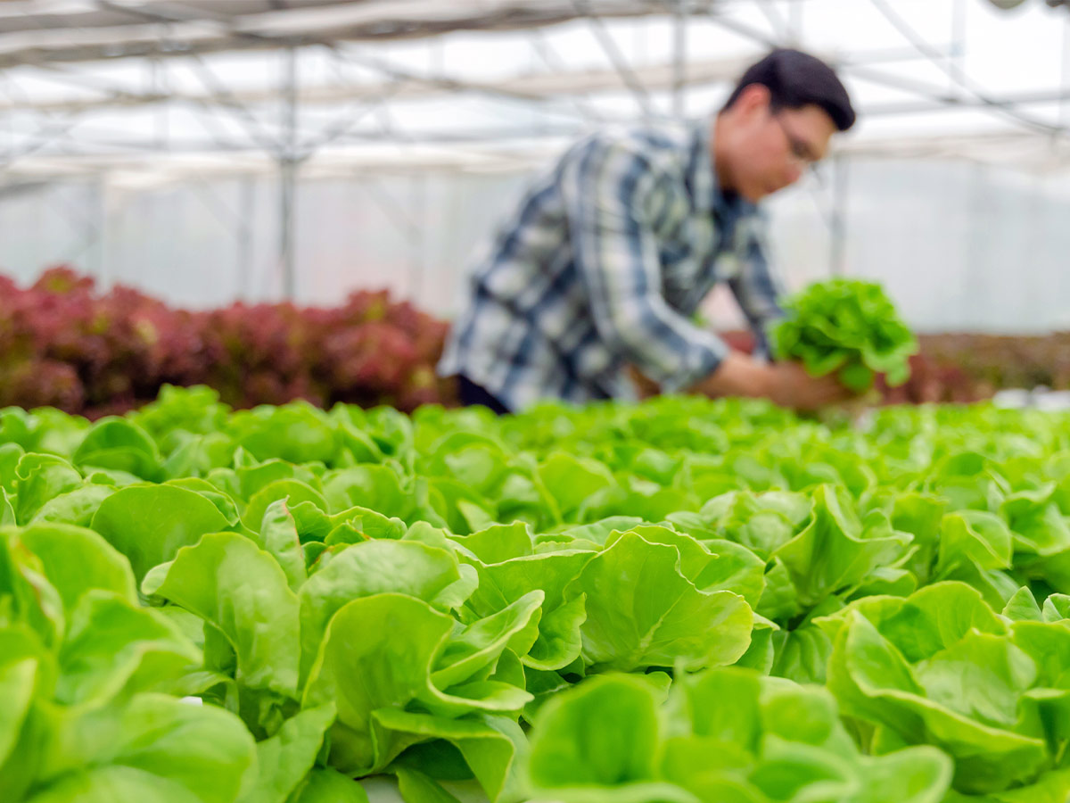 Agriculture
