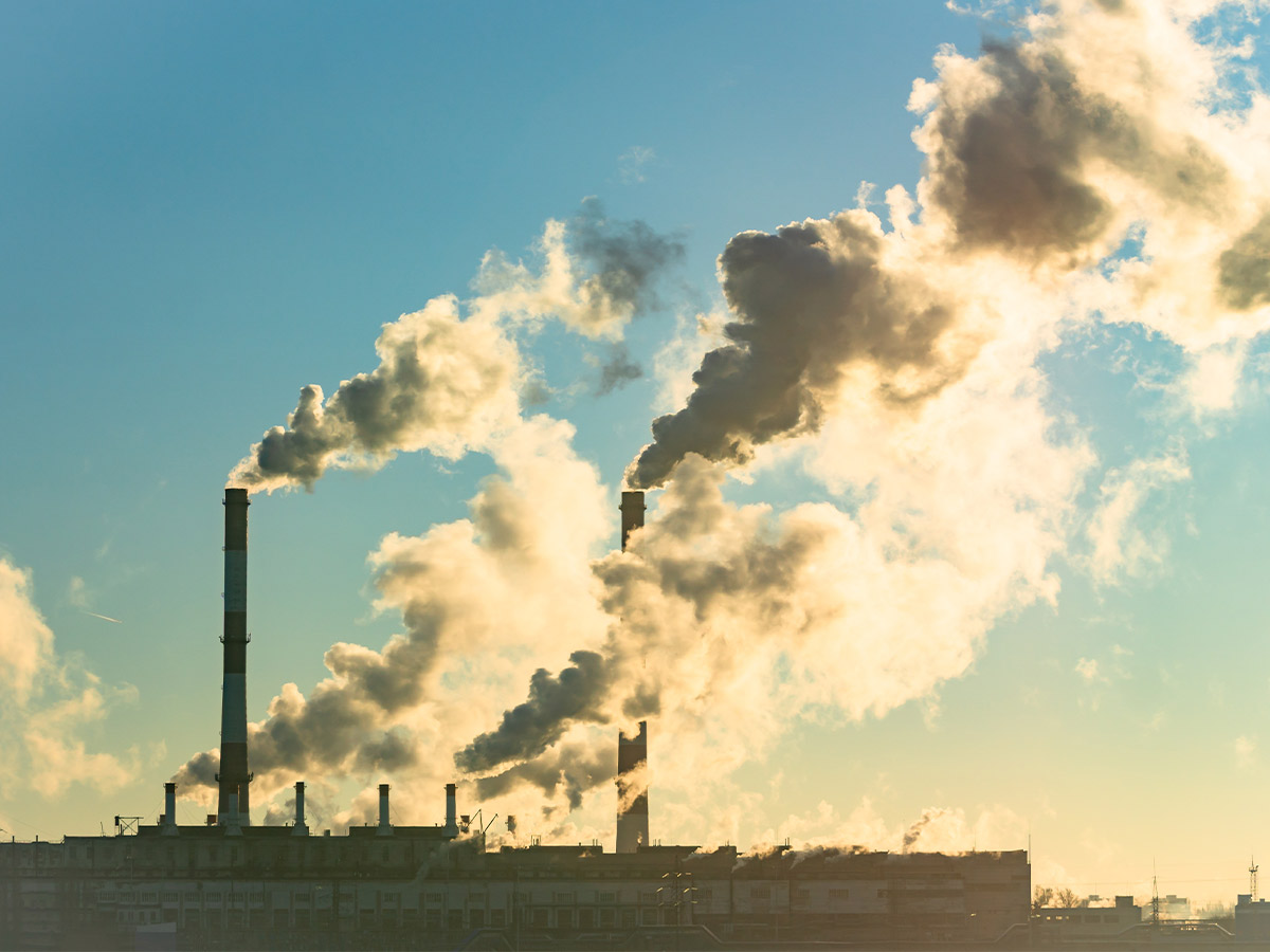 Environmental Impact