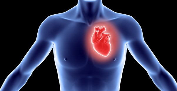 a visual representation of atrial fibrillation