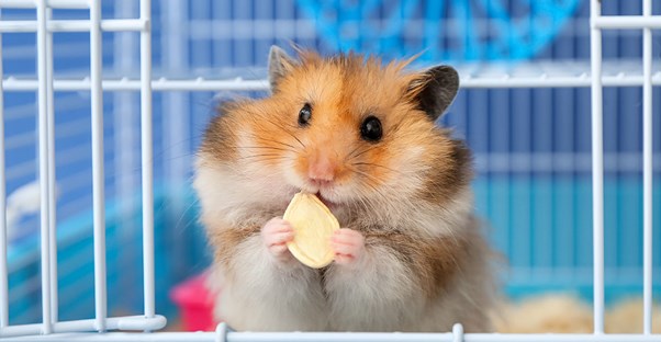 15 Craziest Things Your Taxes Are Paying For