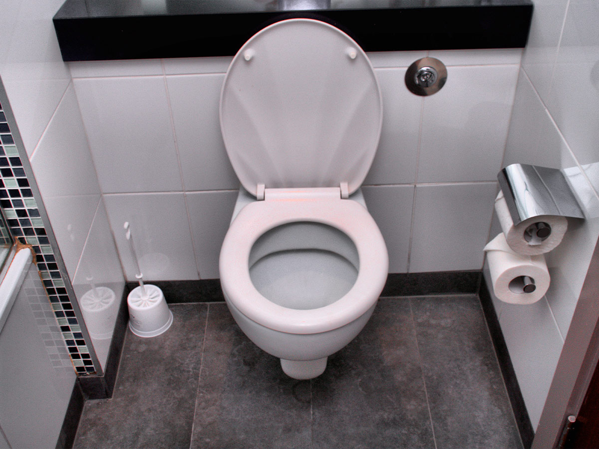 A Malfunctioning Self-Cleaning Toilet