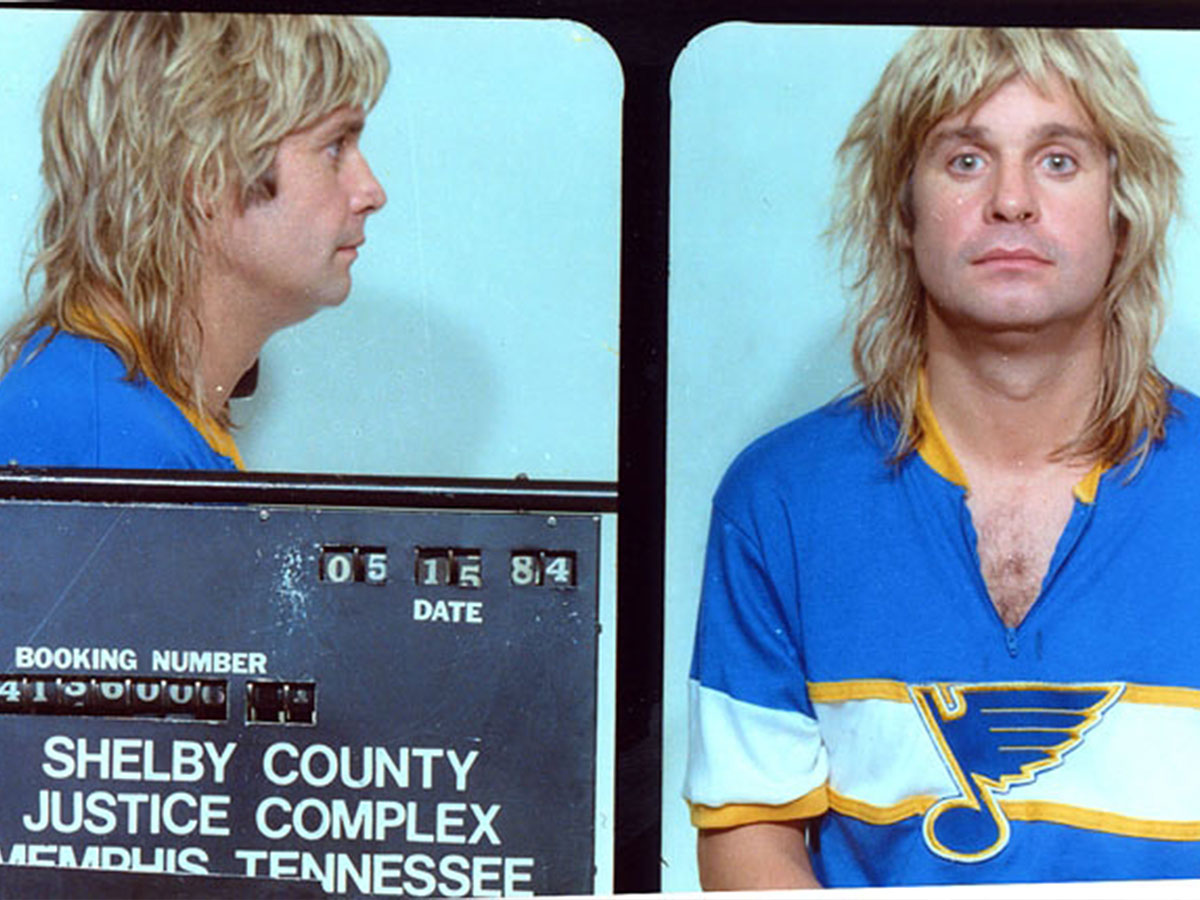 The Jailbird