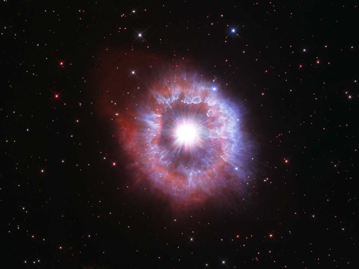 Hubble: "Celebrity Star"