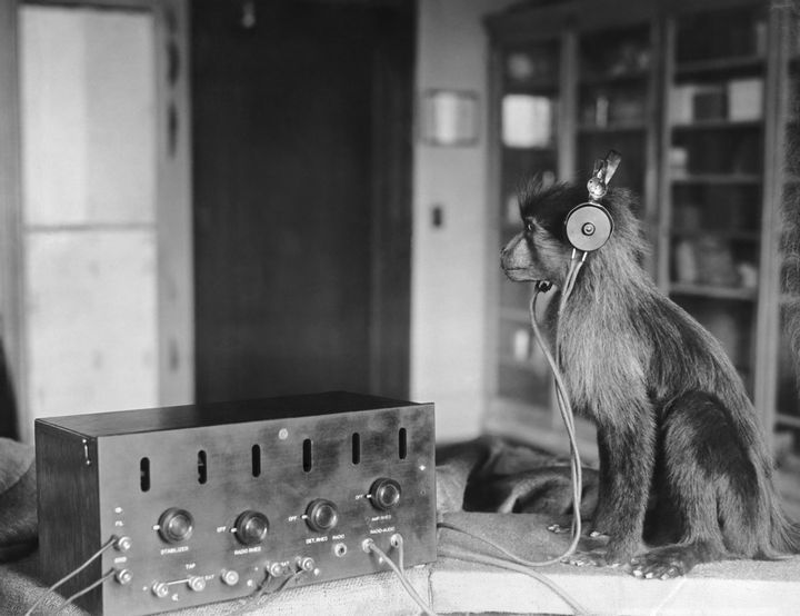 The Monkey Trial, 1923