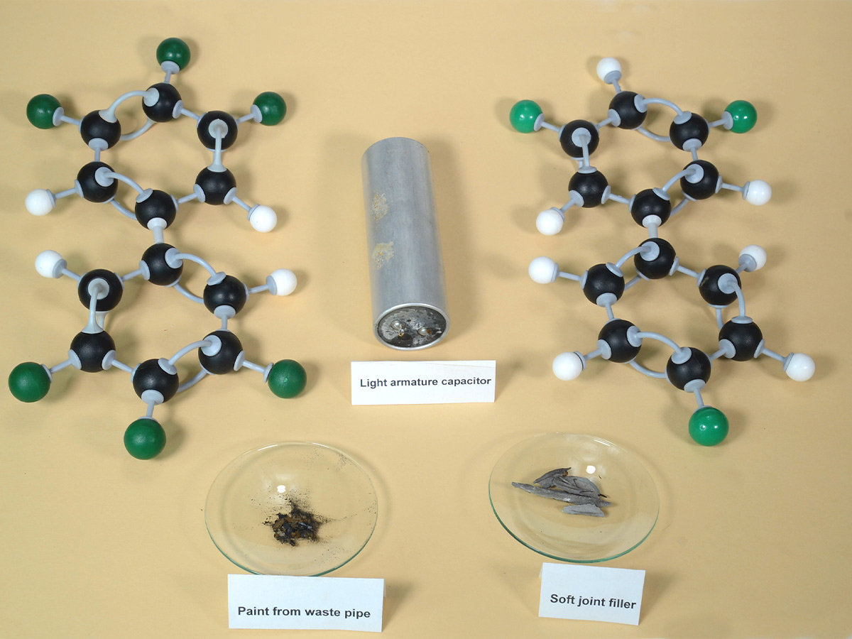 Polychlorinated Biphenyls (PCBs)