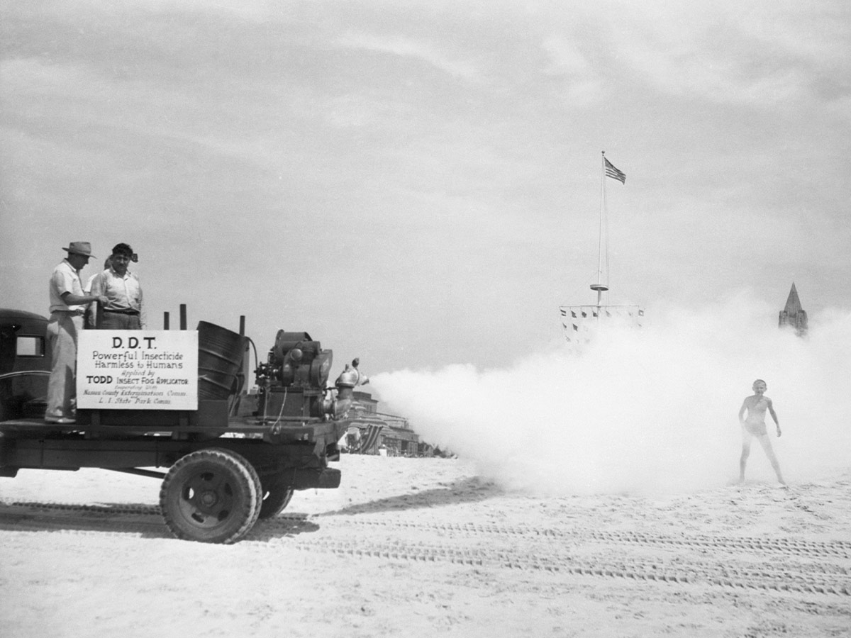 DDT Pesticide