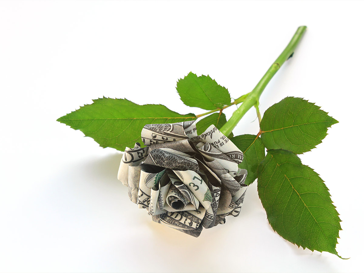 Money Flowers