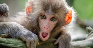 Incredible Things That You Probably Don't Know, But Should