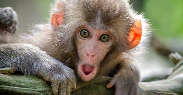 Incredible Things That You Probably Don't Know, But Should