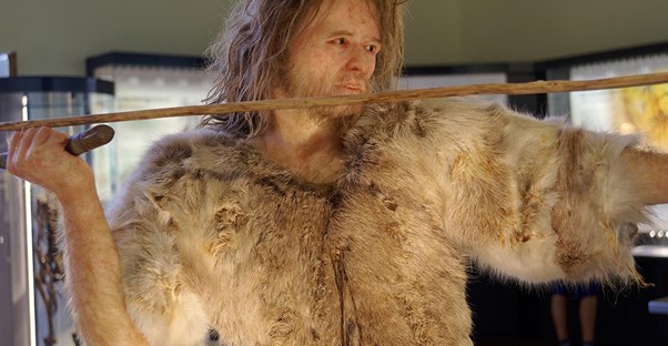 Interesting Facts About Evolution and Early Humans