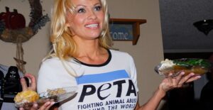 pamela anderson