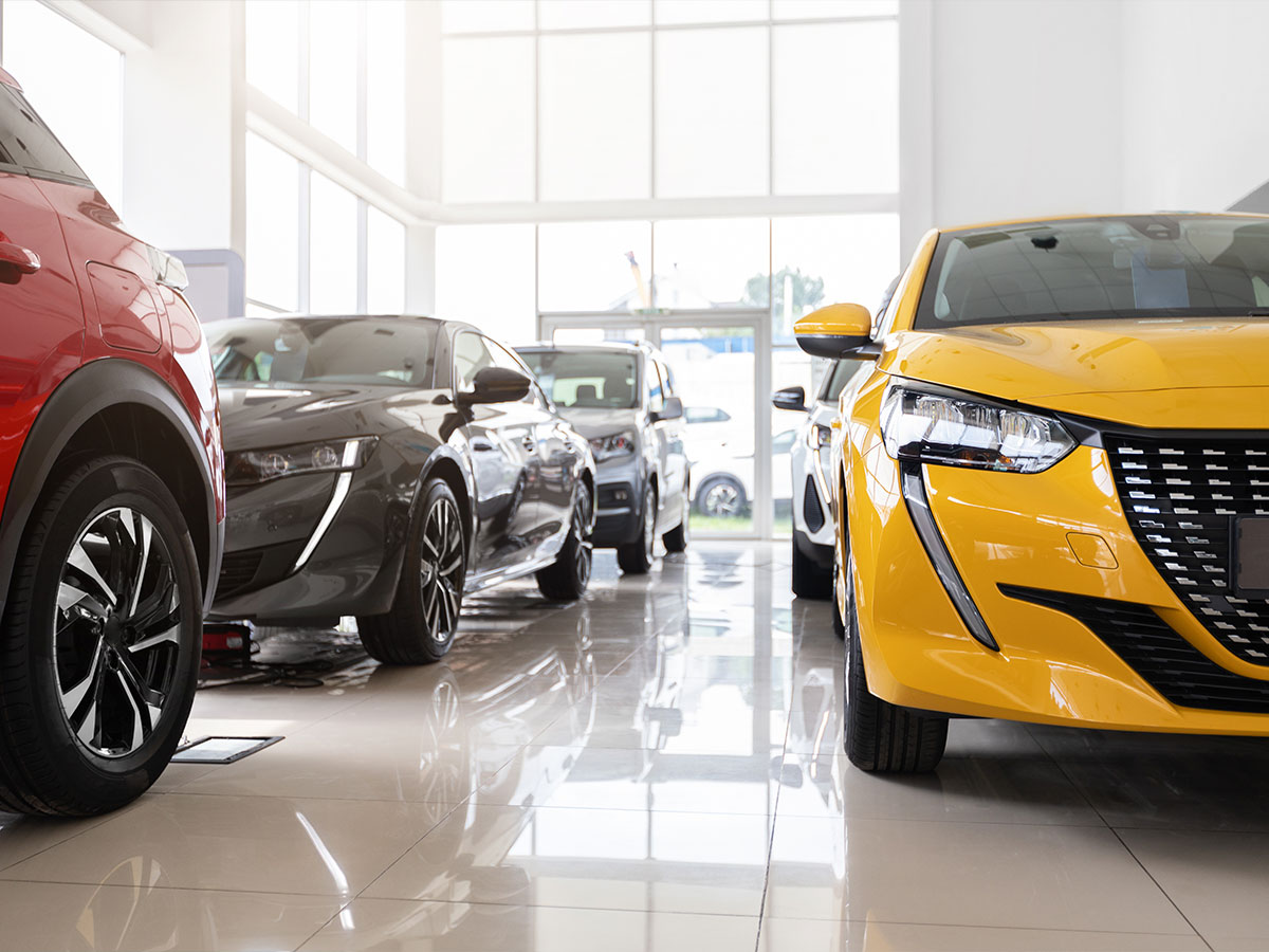 Luxury Cars