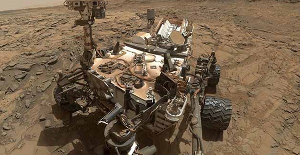 Oppy taking a selfie