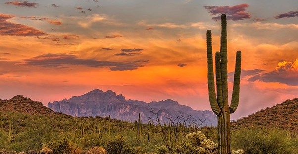 The 20 Worst-Run States in the U.S., Ranked