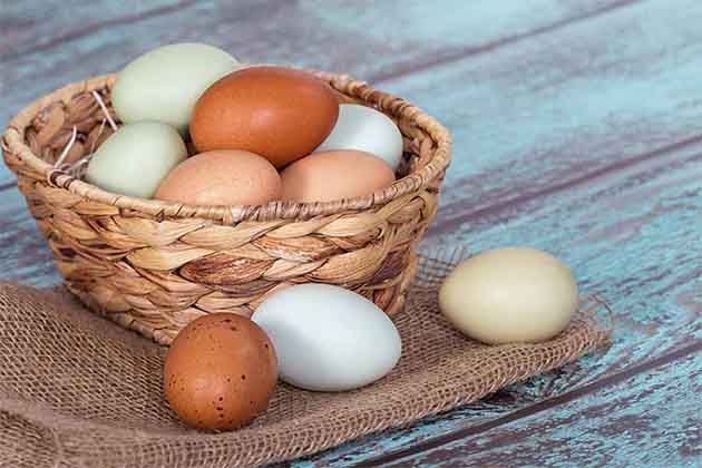 Eggs