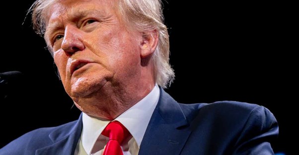 donald trump insurrection act