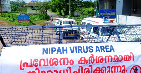 Nipah Virus Threat Grows as Nations Step Up Surveillance