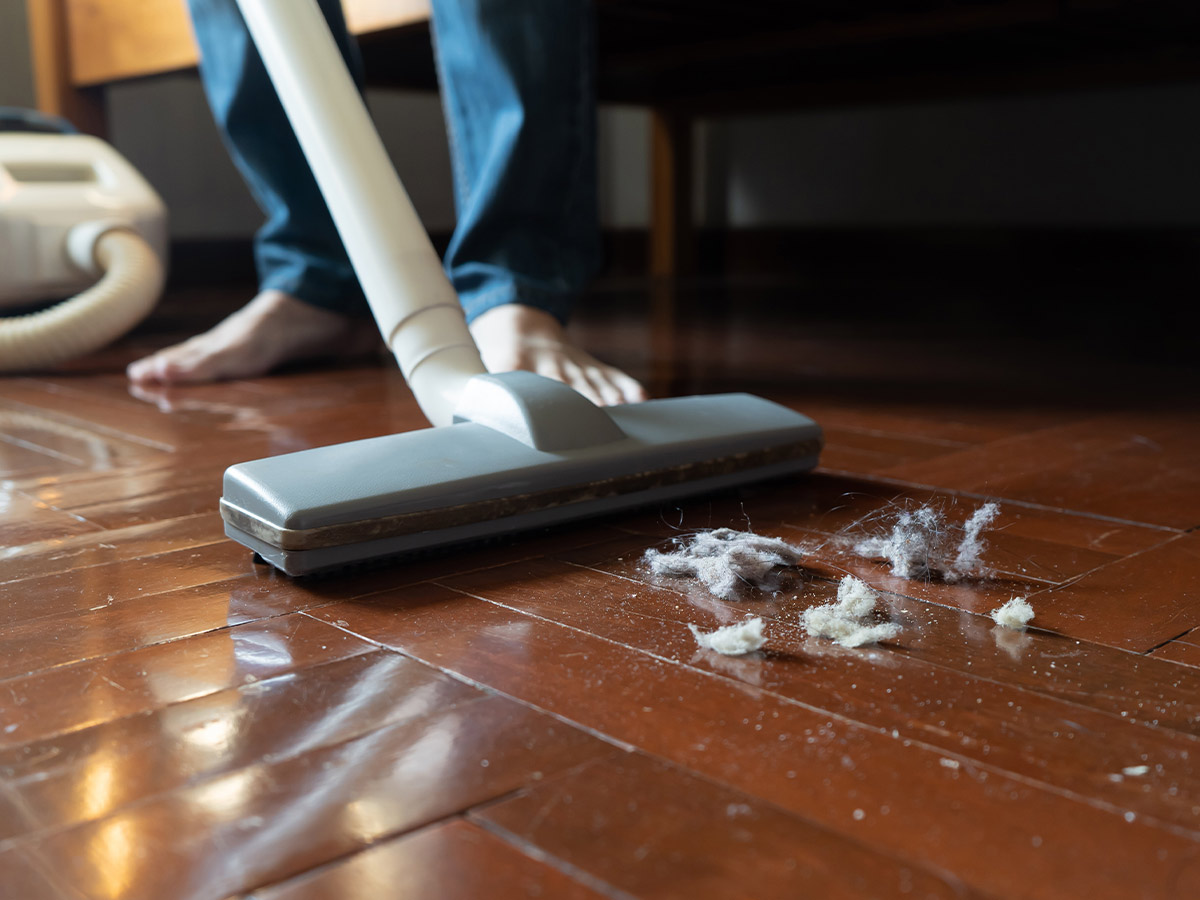 10. Household Dust