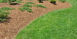 a perfectly manicured lawn meets a bark covered flower bed