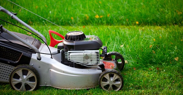 a lawn mower eats through grass