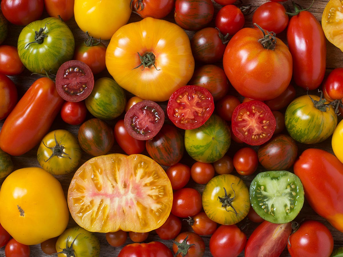 Tomatoes