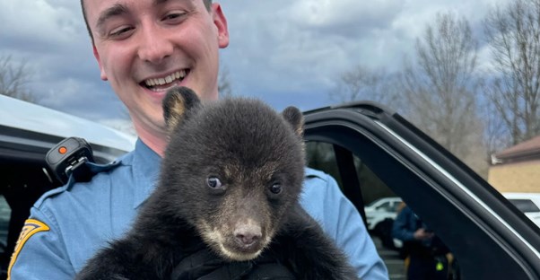 state trooper with a bear cub