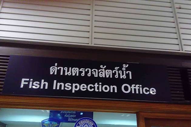 Maybe just leave the fish at home next time?