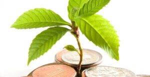 A plant growing through a stack of coins to represent how an investment strategy will grow money in mutual funds.