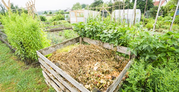 a composting bin in a backyard