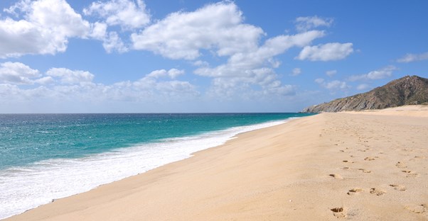 footprints lead off into the distance along the beaches of cabo san lucas