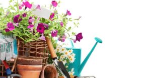a pot of flowers is surrounded by numerous garden supplies