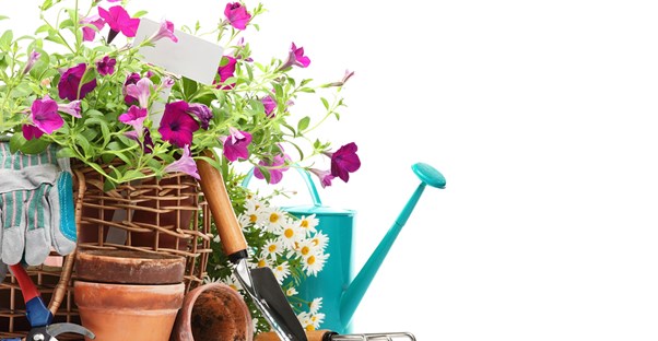 a pot of flowers is surrounded by numerous garden supplies