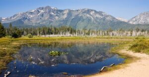 a small pond in the expansive national forests of the Lake Tahoe area