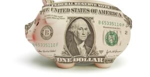 Dollar Bill Pig