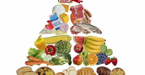 a stylized version of the food pyramid