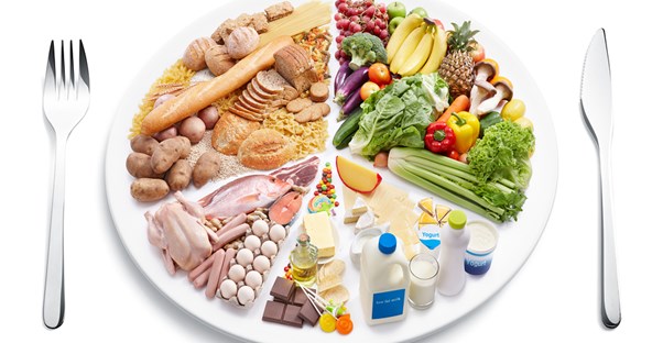 a visual representation of myplate