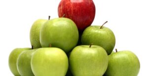 apples fashioned to look like the food pyramid