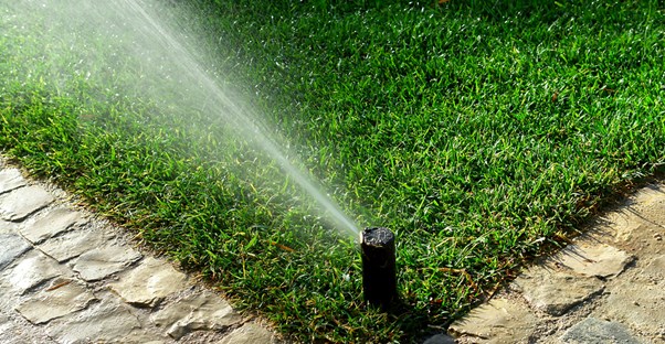 Sprinklers turned on by home automation.