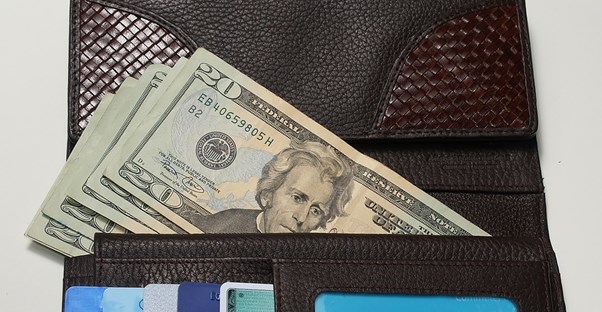 a travel wallet is filled with $20 bills