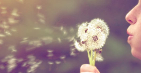 a woman blowing on allergy causes