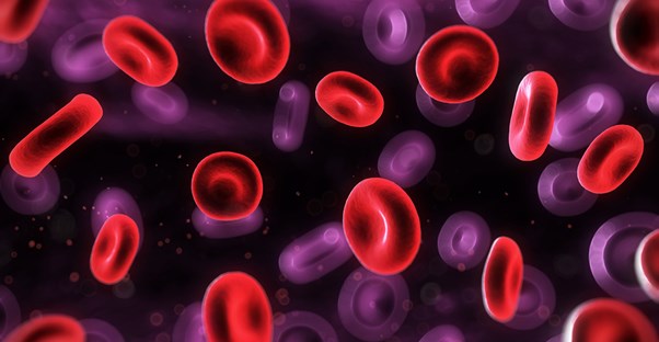 a blood clot