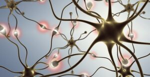 an image representing epilepsy