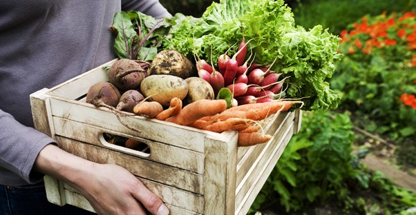 Woman carrying pesticide free produce