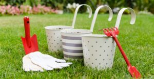 Organic gifts given to an organic farmer