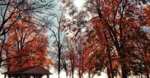 A picturesque fall campsite