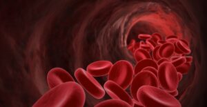 red blood cells susceptible to sickle cell anemia