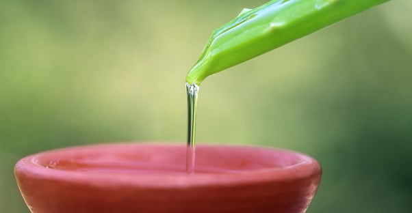 an all natural shampoo alternative
