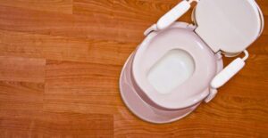 A child-sized training toilet