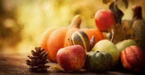 Thanksgiving pumpkin decorations