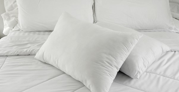 Bed bug free bedding